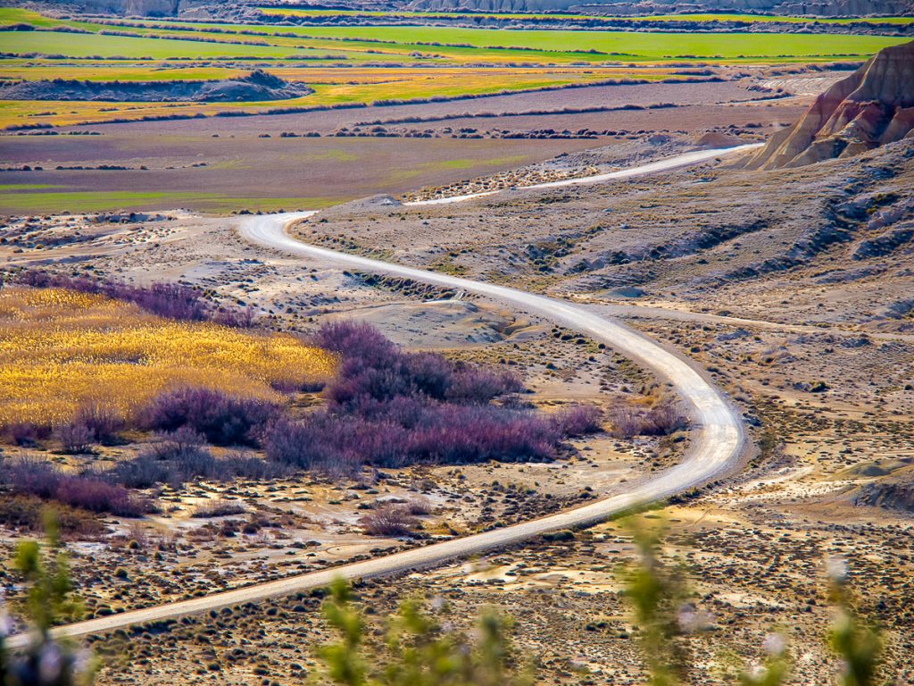 Camino en las Bardenas Reales